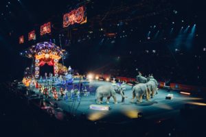 cirque avec des animaux