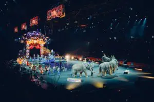 cirque avec des animaux