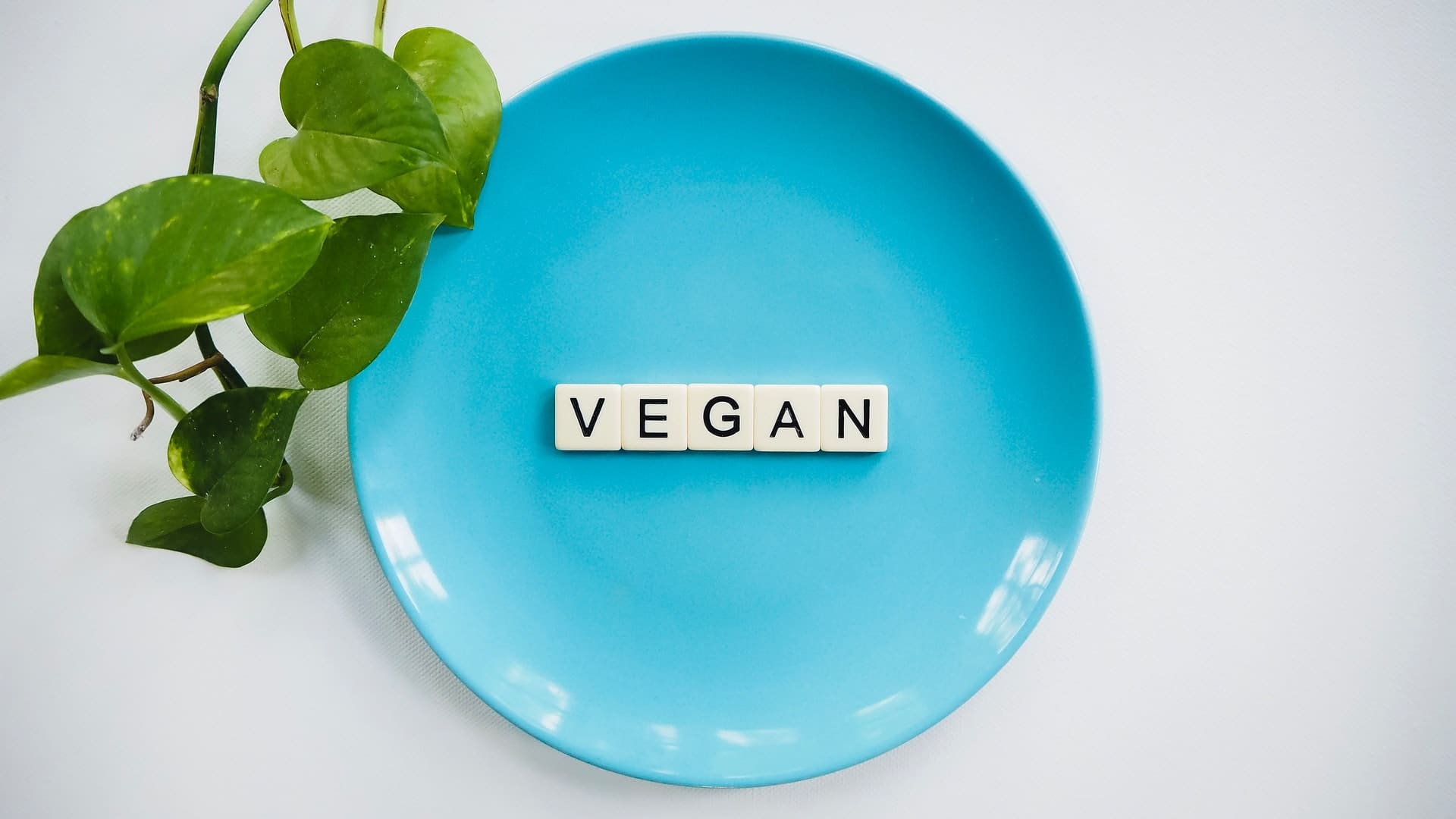 Organiser un événement vegan : le guide